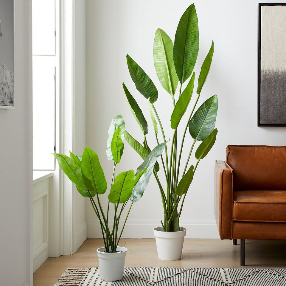 Faux Potted Bird of Paradise Plant west elm United Kingdom